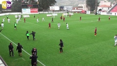 Futebol 365