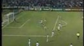 Brasileirão: Palmeiras 0 - 1 São Paulo (2007)