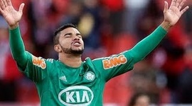 Futebol 365