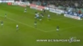 Bundesliga: Werder Bremen 2-1 1899 Hoffenheim (2010-2011)