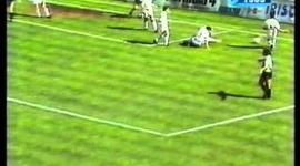 Futebol 365