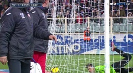 Serie A: Fiorentina 4 - 3 Verona (2013-2014)