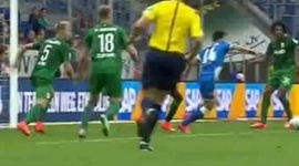 Bundesliga: 1899 Hoffenheim 2 - 0 FC Augsburg (2014-2015)