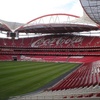 Luz Luz