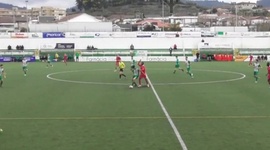 Futebol 365