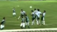 Futebol 365