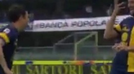 Serie A: Verona 4 - 0 Catania (2013-2014)