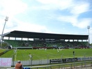 Kreuzeiche