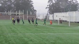 Futebol 365