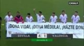 Liga BBVA: Sevilla 4-1 Rayo Vallecano (2013-2014)