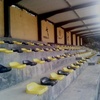 Parque Desportivo Eng. Pereira Leite