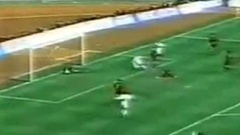 Futebol 365
