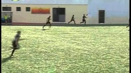 Futebol 365