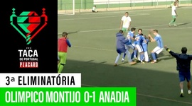 Taça de Portugal Placard: Olímpico Montijo 0 - 1 Anadia (2019-2020)