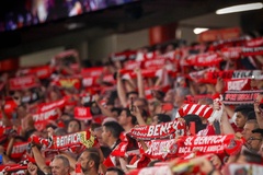 "Fantástico": 56 mil adeptos no Estádio da Luz quando "o Benfica já não luta por títulos"