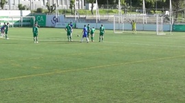 Futebol 365
