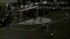 Futebol 365