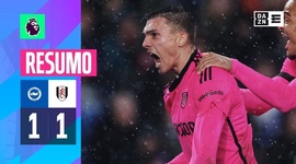 Premier League: Brighton 1 - 1 Fulham (2023-2024)