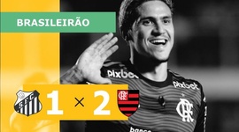 Brasileirão: Santos 1 - 2 Flamengo (2022)