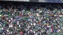 Futebol 365