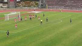 Futebol 365