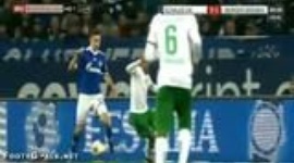 Bundesliga: Schalke 04 3 - 1 Werder Bremen (2013-2014)