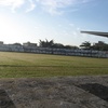 Niélsen Louzada (Louzadão)