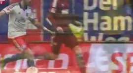 Bundesliga: Hamburger SV 2 - 1 Nürnberg (2013-2014)
