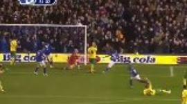 Premier League: Everton 1-1 Norwich (2011-2012)