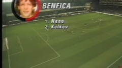 Futebol 365