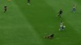 Taça Portugal: Académica 3-1 U. Madeira (2010-2011)