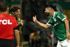 Palmeiras, Cruzeiro e Botafogo avançam na Taça do Brasil