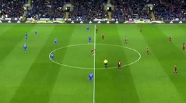 Premier League: Cardiff City 2 - 0 AFC Bournemouth (2018-2019)