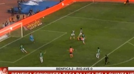 Taça da Liga: Rio Ave 0 - 2 Benfica (2013-2014)