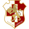 Naxxar Lions FC