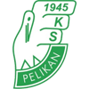 Pelikan Lowicz