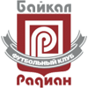 home-team-logo