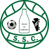 home-team-logo