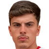 Diogo Simao