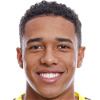 Brahian Palacios