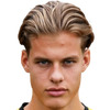 Joel van der Wilt