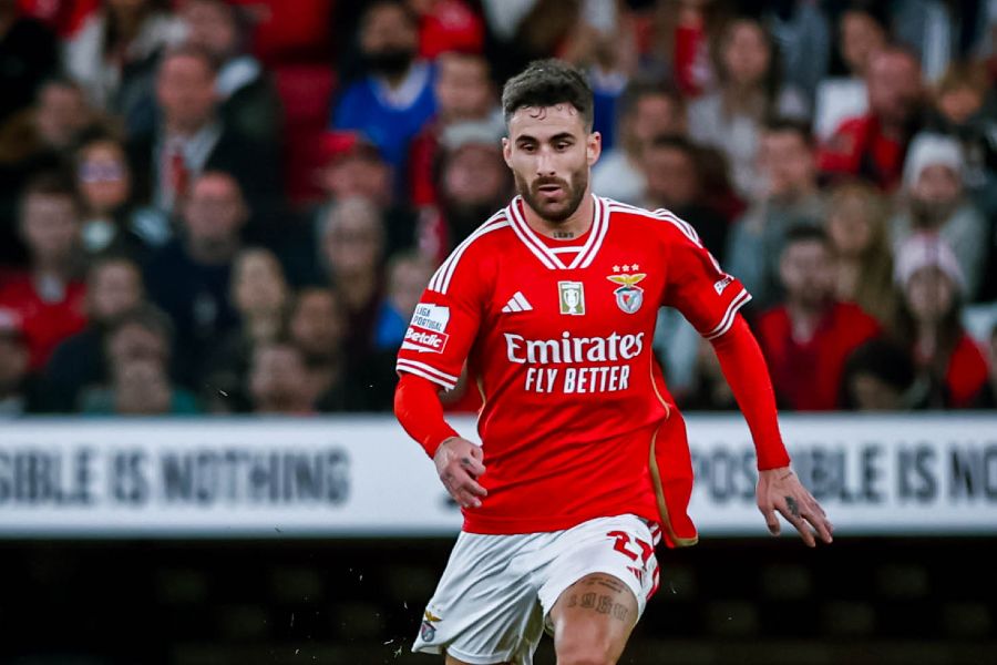 "O Benfica não precisa de contratar Rafa para lutar pelo segundo lugar"