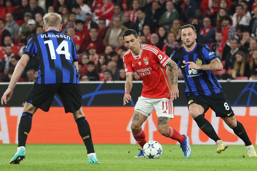 "Não percebo como é que o Schmidt consegue ter o Di María e o Rafa tanto tempo em campo"