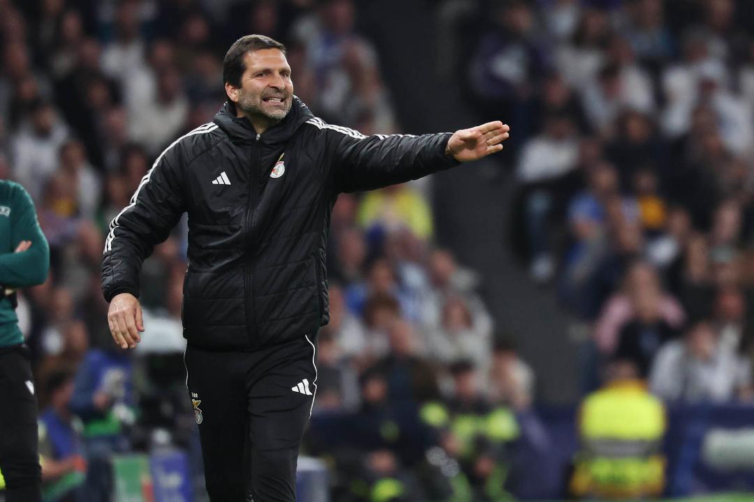 João Tralhão destaca "orgulho" pela prestação do Benfica contra o Real Madrid