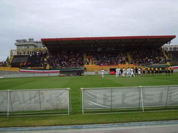 Rino Mercante
