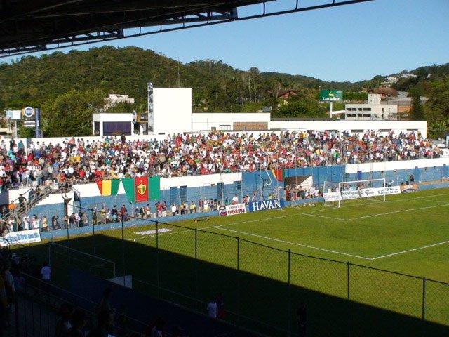 Augusto Bauer