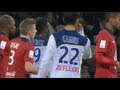 Ligue 1: Lille 1-1 Troyes (2012-2013)