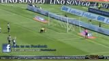 Futebol 365
