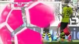 Jogos Amigáveis: Dortmund 1-0 Hamburger SV (2013-2014)