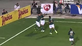 Futebol 365